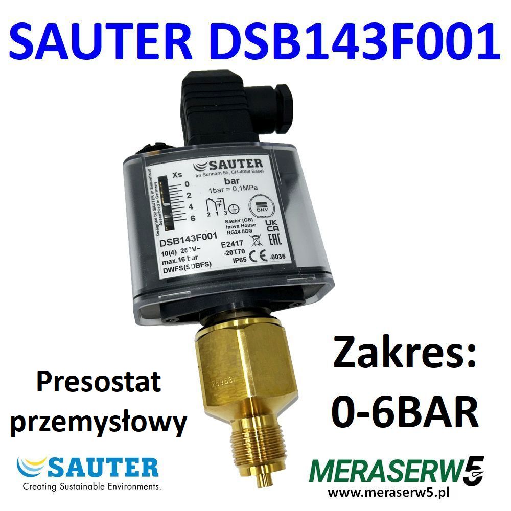 DSB143F001
