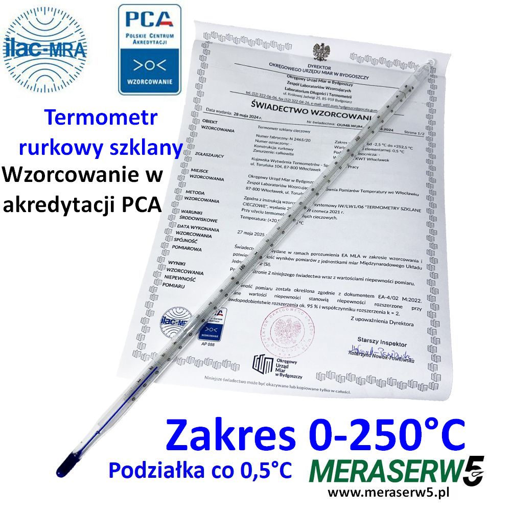 termometr 0 250 PCA1