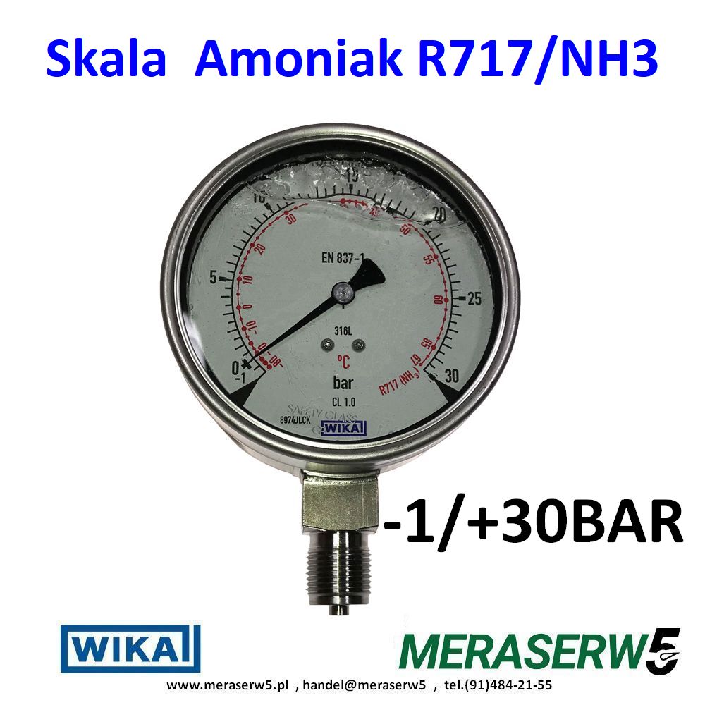 233.50.100 1 30BAR NH3